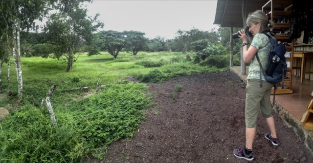 PatFreyPhotos_about-02